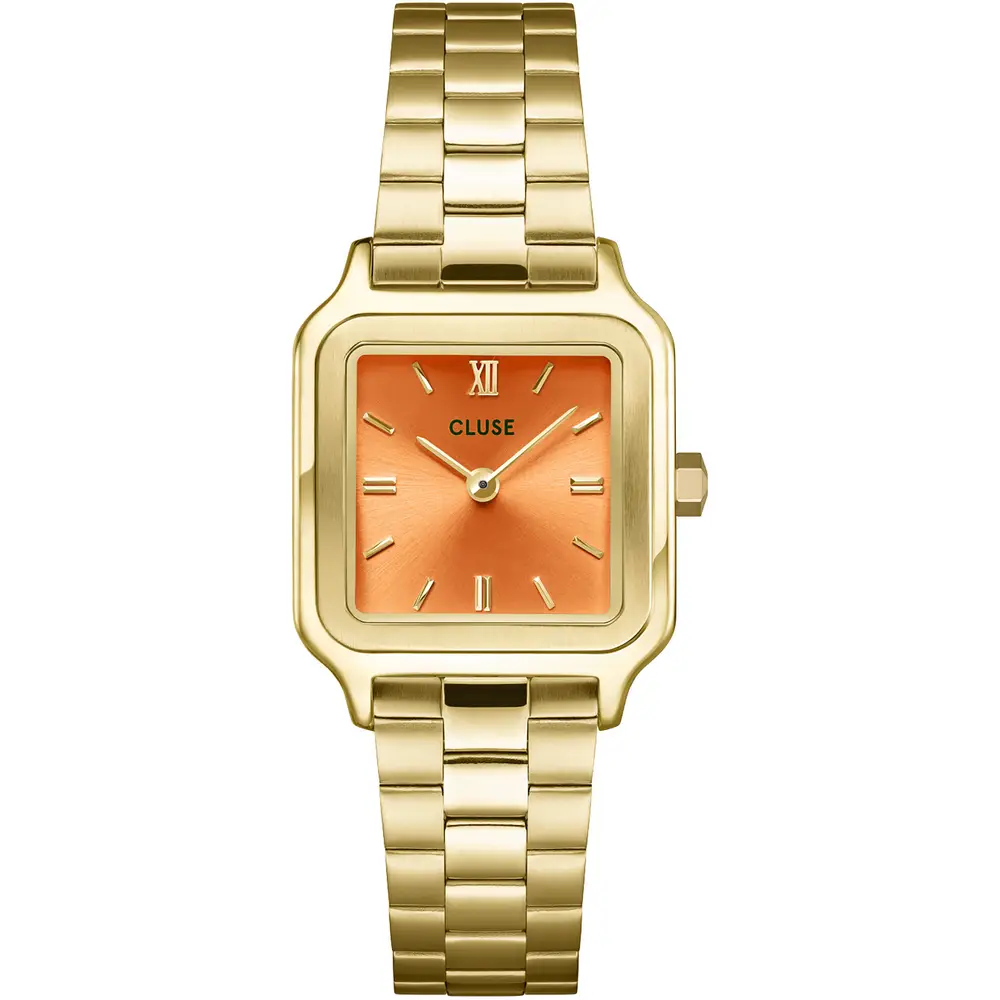 La Petite Story OROLOGIO CLUSE GRACIEUSE PETITE - CW11807 Nuova