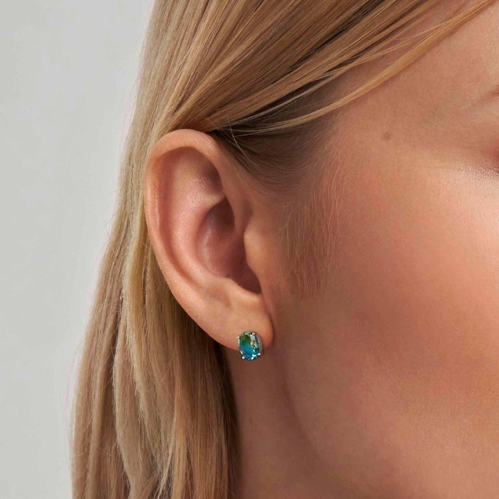 Nomination Orecchini Symbiosi in argento con pietre bicolor Black Friday Prezzi
